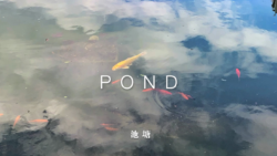 Landscape image of fish swimming in water with reflected sky. The title 'POND' appears on the screen, alongside the Mandarin word for pond. 